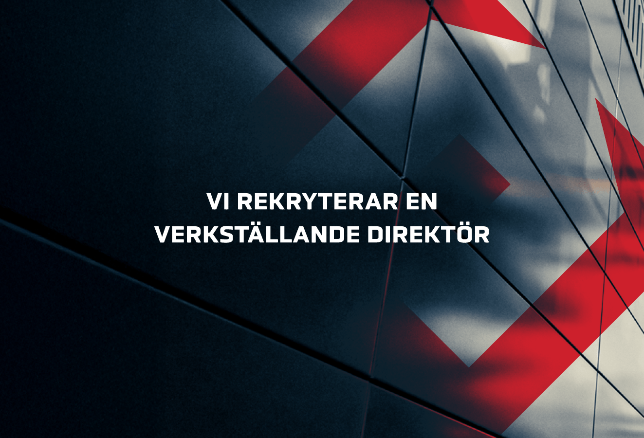 Vi rekryterar en verkställande direktör